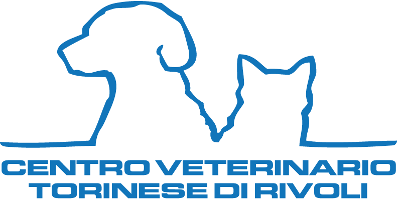 CVT Rivoli